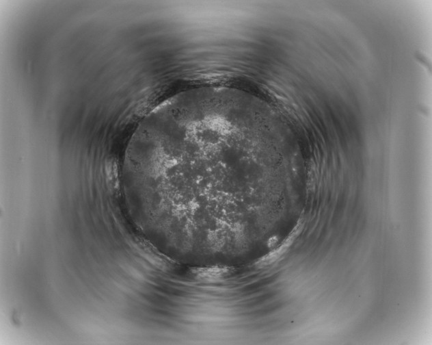 X0000094960182200712201208