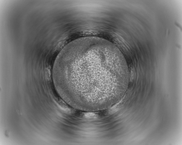 X0000094960183200712201208