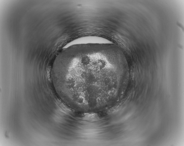 X0000094960185200712201208