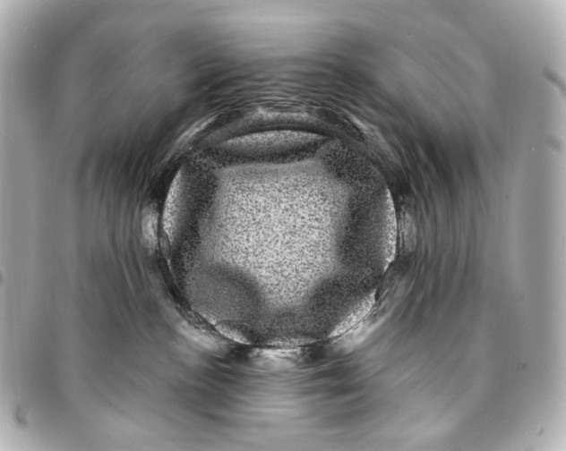 X0000094960188200712201208