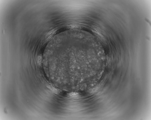 X0000094960189200712201208