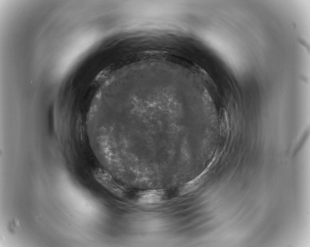 X0000094960191200712201208