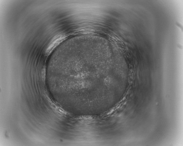 X0000094960194200712201208