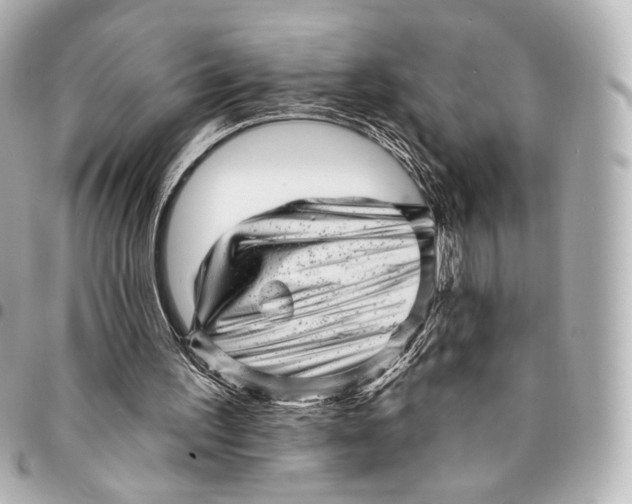 X0000094960195200712201208