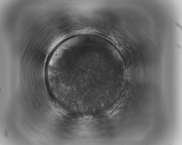 X0000094960196200712201208