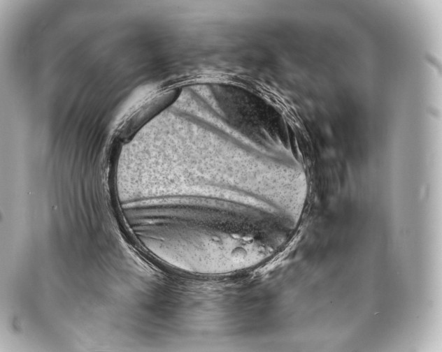 X0000094960197200712201208