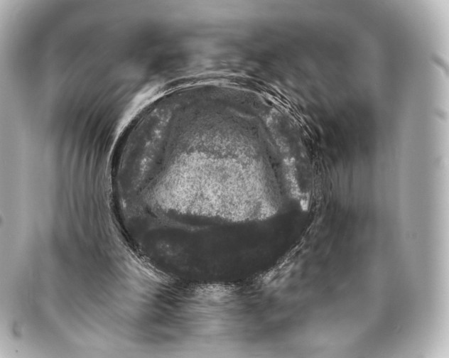 X0000094960198200712201208