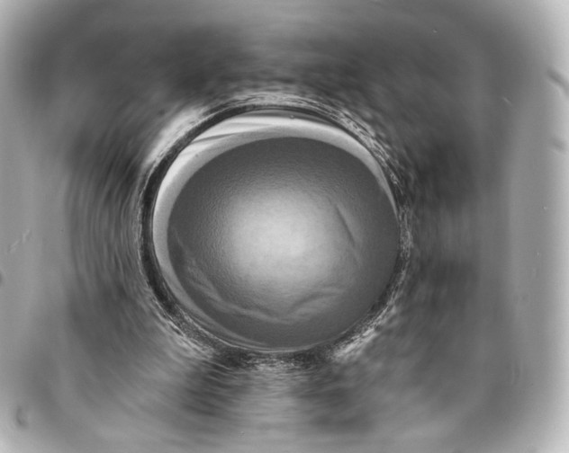 X0000094960199200712201208