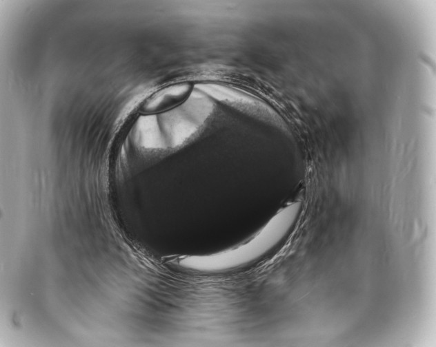 X0000094960200200712201208