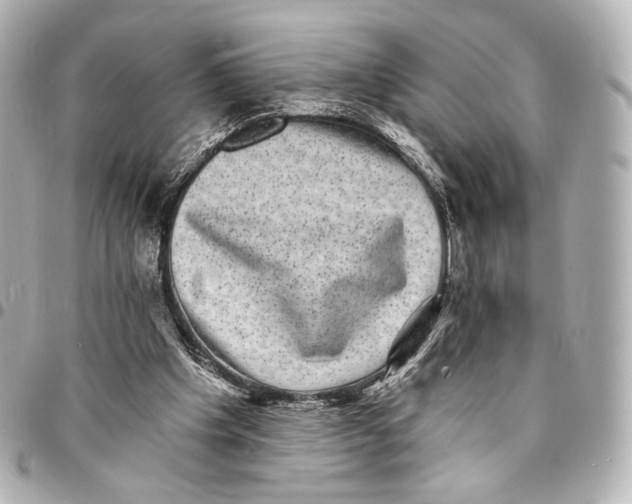 X0000094960201200712201208