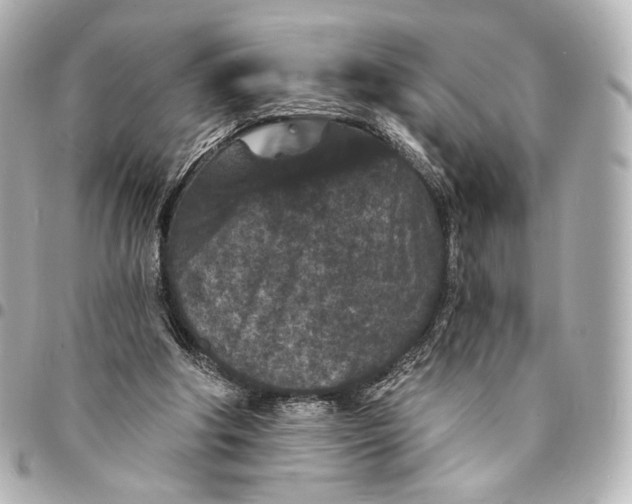 X0000094960202200712201208