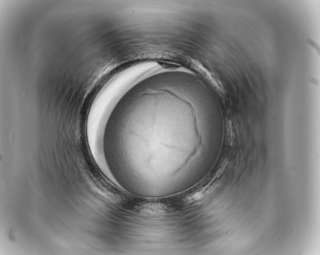 X0000094960203200712201208