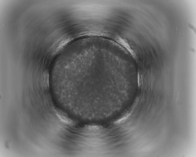 X0000094960205200712201207