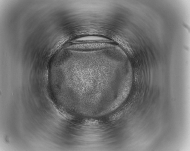 X0000094960206200712201207