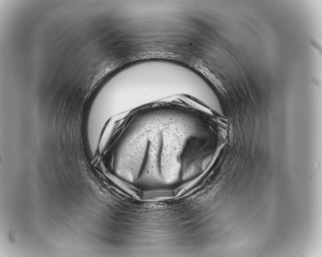 X0000094960207200712201207