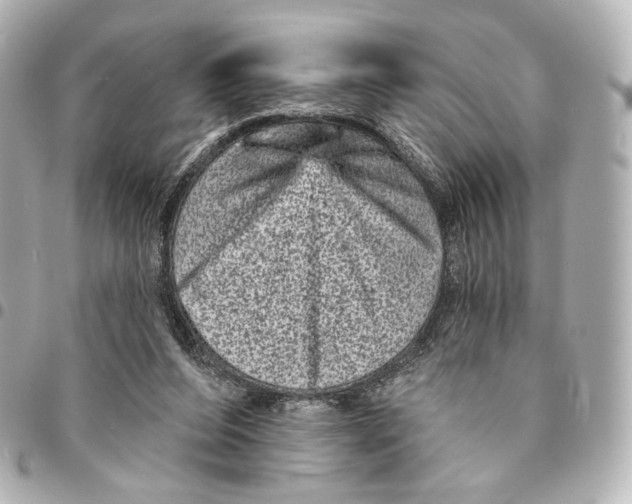 X0000094960208200712201207