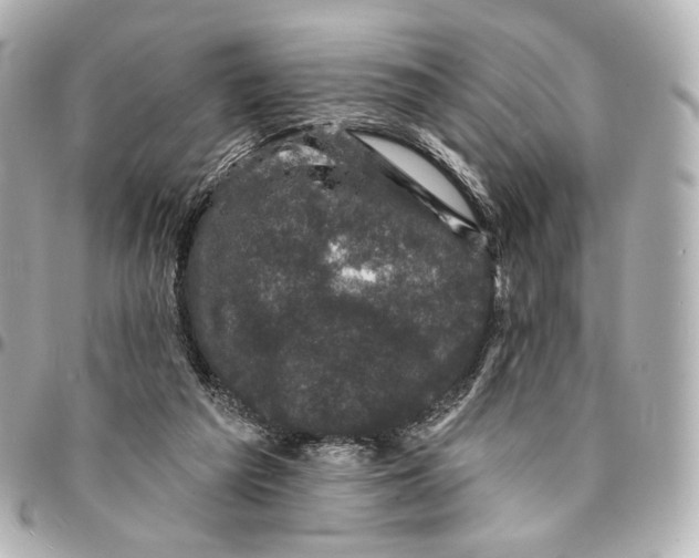 X0000094960209200712201207