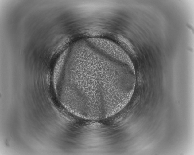 X0000094960210200712201207