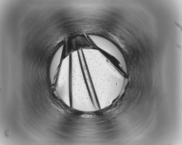 X0000094960211200712201207