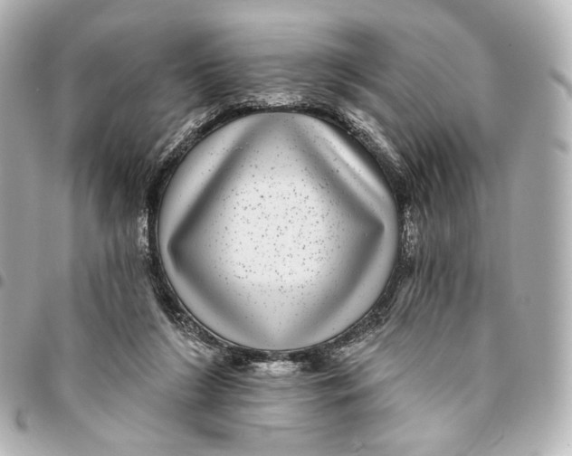 X0000094960212200712201207