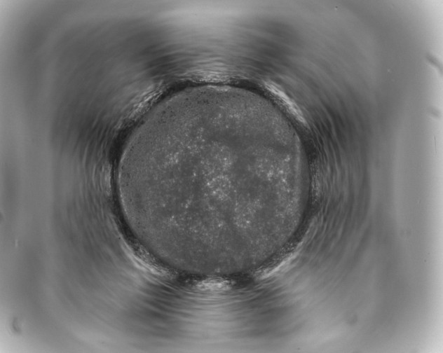 X0000094960213200712201207