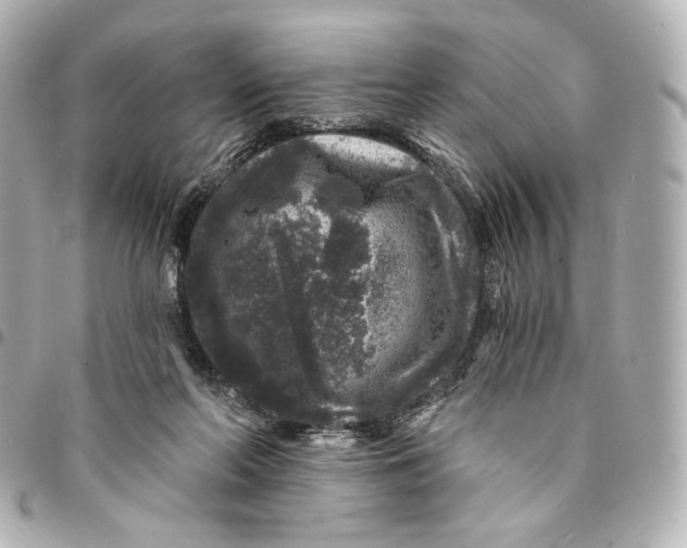 X0000094960214200712201207