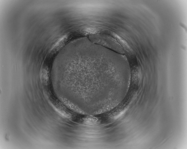 X0000094960215200712201207