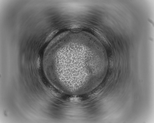 X0000094960216200712201207