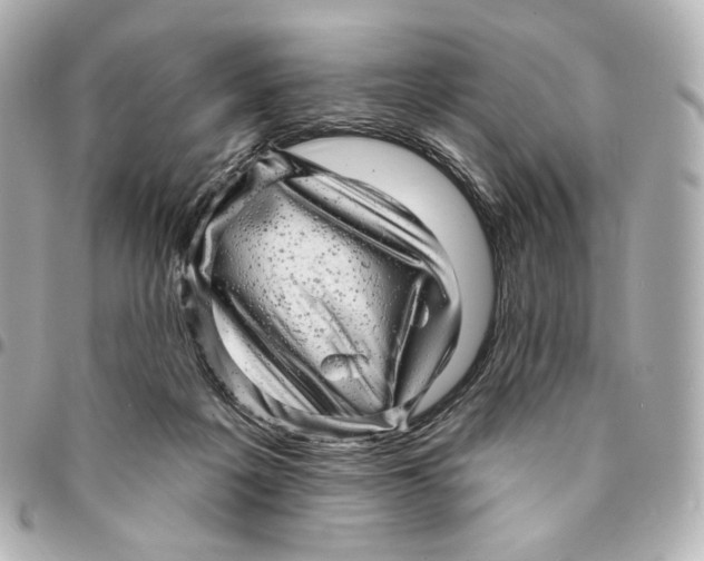 X0000094960217200712201207