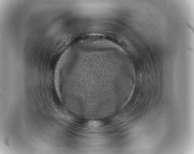 X0000094960218200712201207