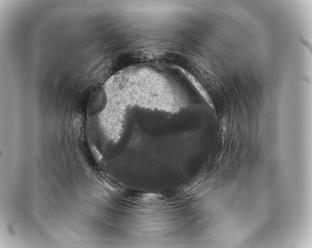 X0000094960222200712201207