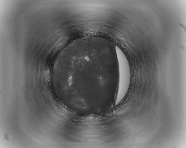 X0000094960224200712201207