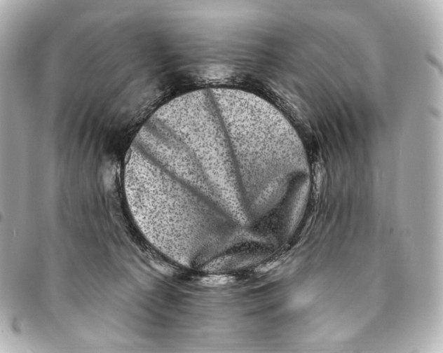 X0000094960225200712201207