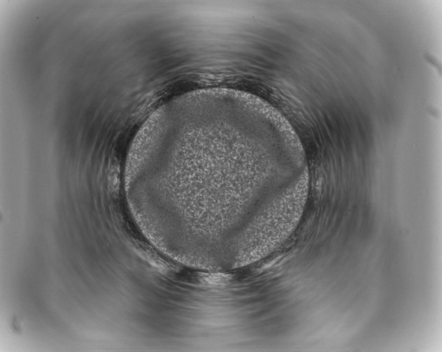 X0000094960226200712201207