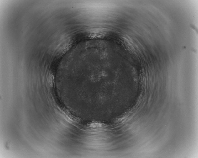 X0000094960227200712201207