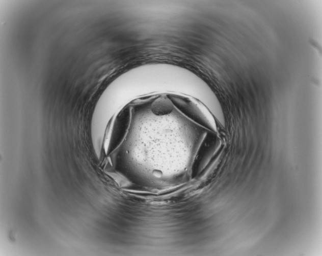 X0000094960228200712201207