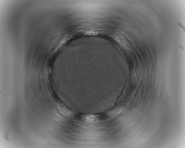 X0000094960229200712201207