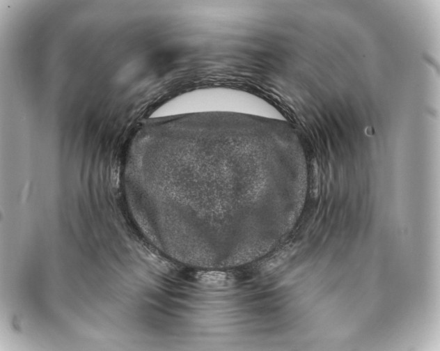 X0000094960230200712201207