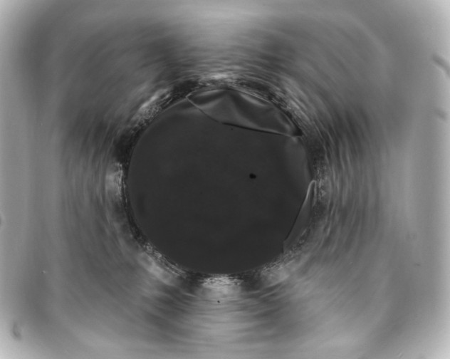 X0000094960231200712201207