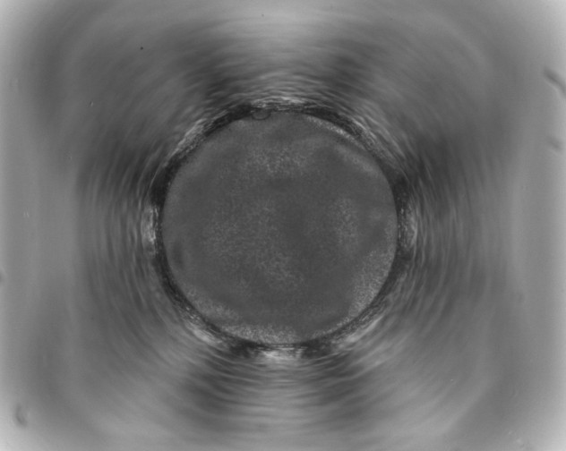 X0000094960232200712201207