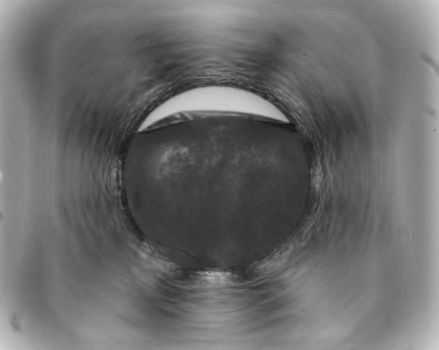 X0000094960233200712201207