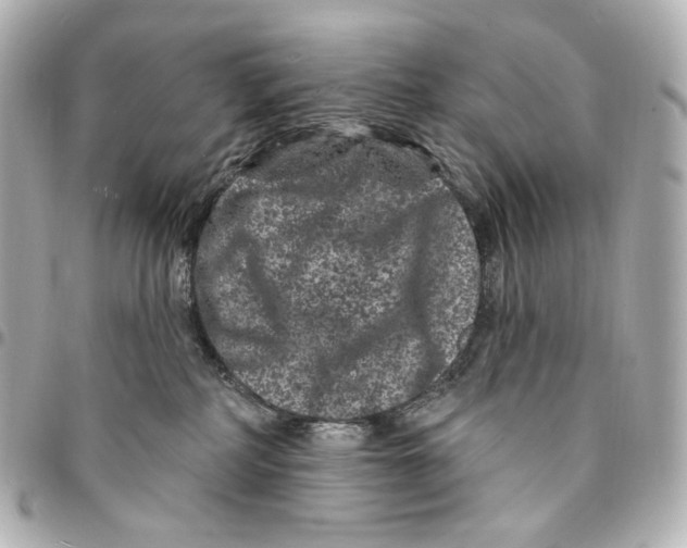 X0000094960234200712201207