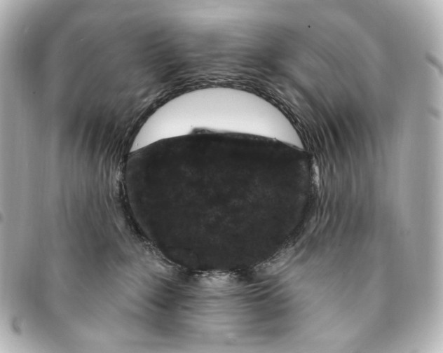 X0000094960235200712201207