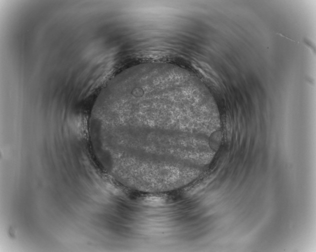 X0000094960236200712201207