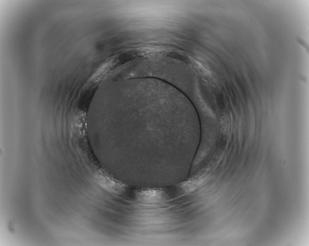 X0000094960237200712201207