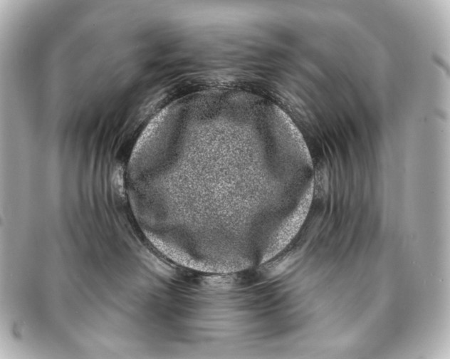 X0000094960238200712201207