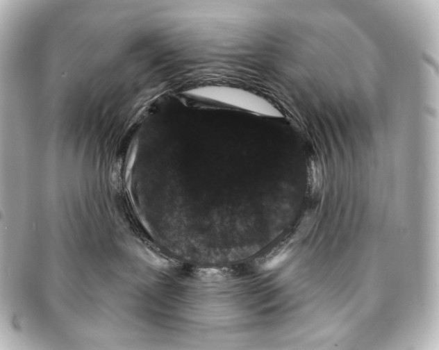 X0000094960239200712201207