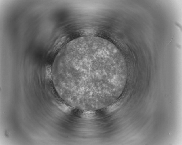 X0000094960240200712201207