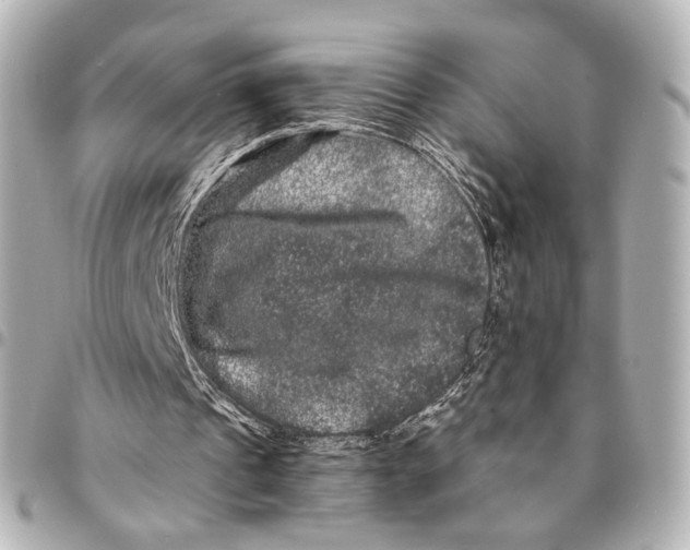 X0000094960241200712201206