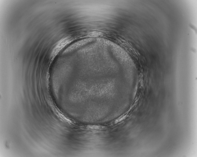 X0000094960242200712201206